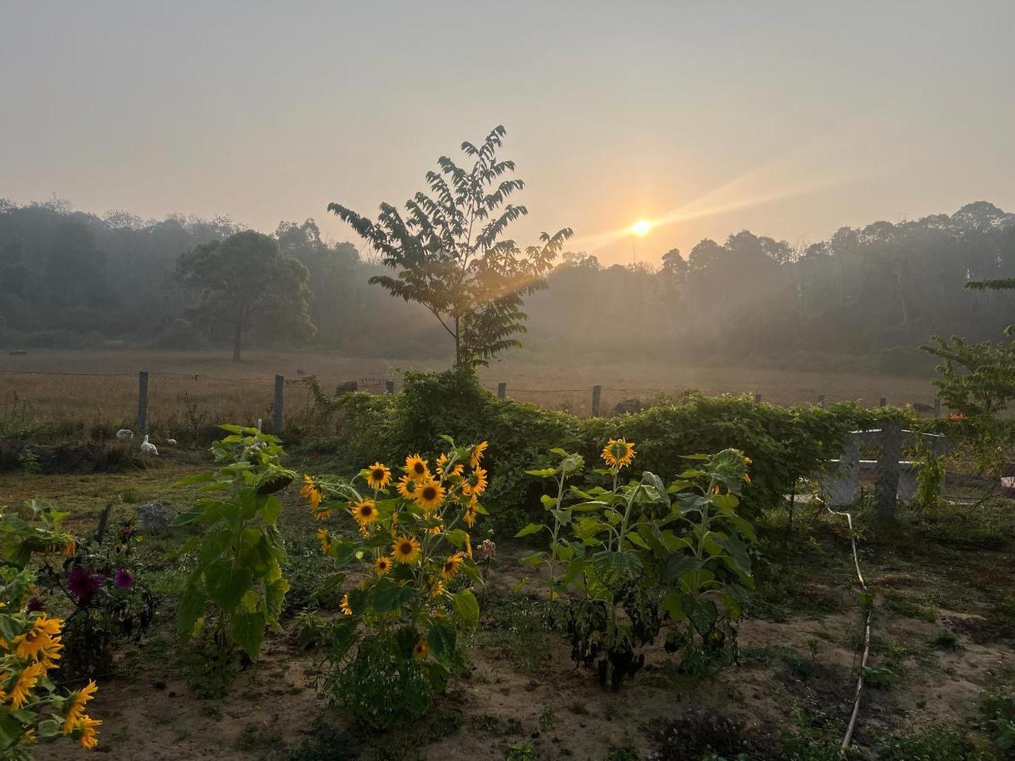 The Deer Meadows Vila Mudumalai Exterior foto